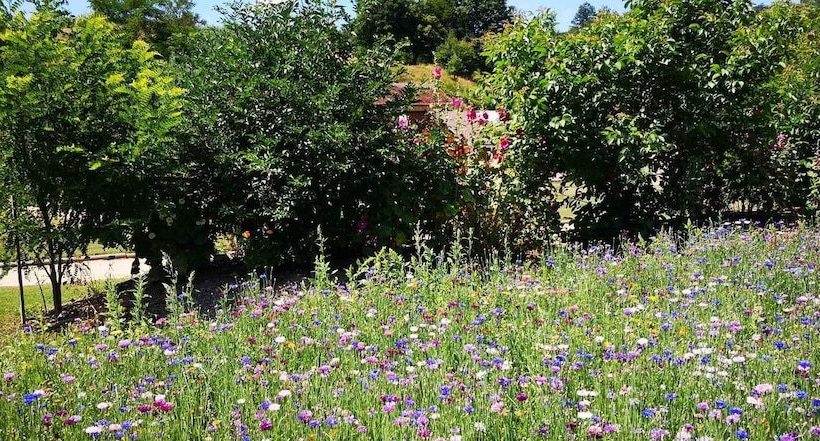 Gite Le Moulin Berthon