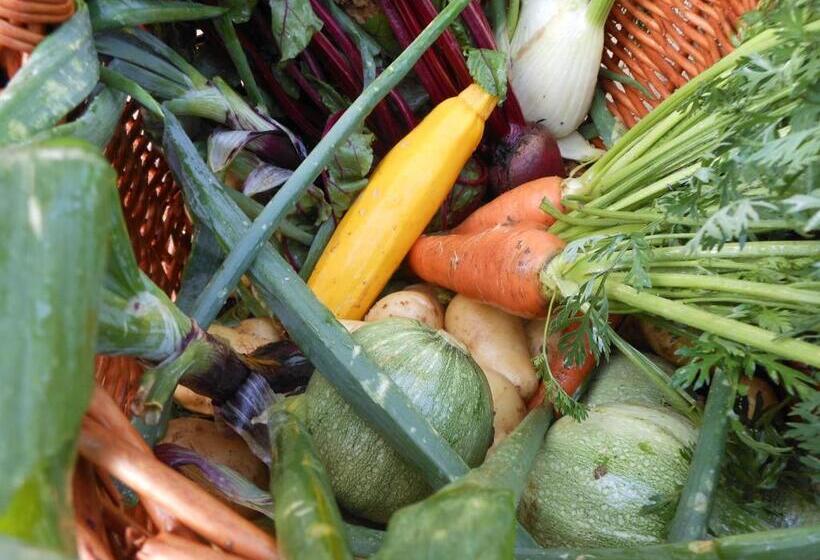 膳宿费 Auberge De La  Tuilerie