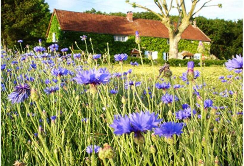 膳宿费 Auberge De La  Tuilerie