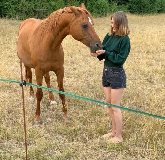 膳宿费 Auberge De La  Tuilerie