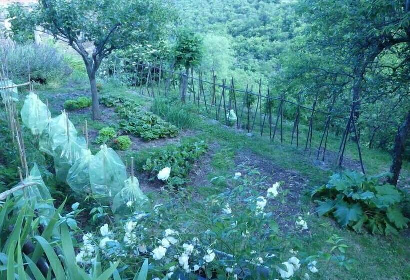 ペンション Chambres D Hôtes Château Du Poujol