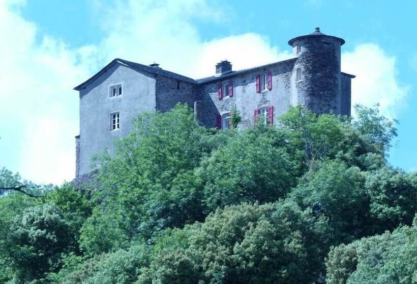 ペンション Chambres D Hôtes Château Du Poujol