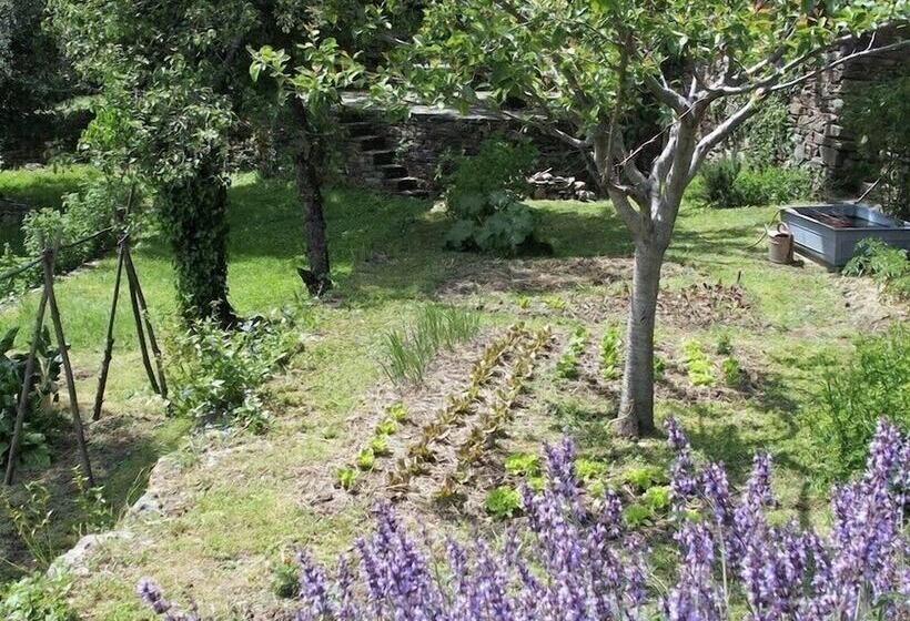 ペンション Chambres D Hôtes Château Du Poujol