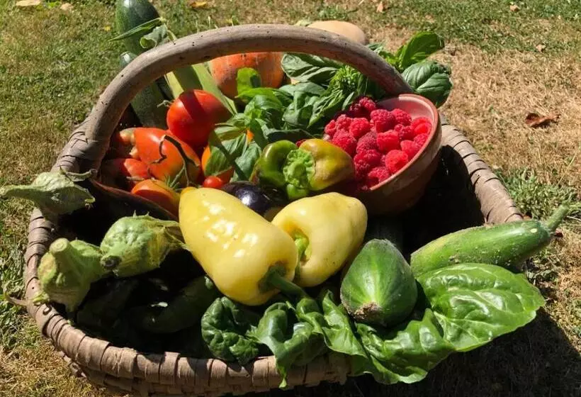 Majatalo Les Trois Chenes