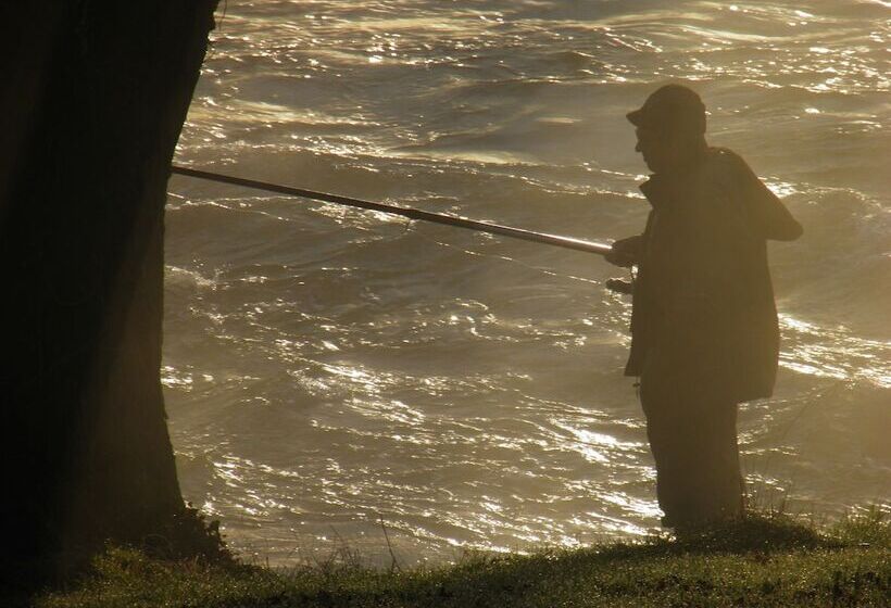 ペンション Maison D'hôtes L'escalère
