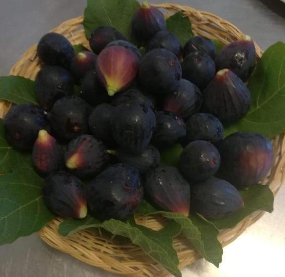 Valle Maira, Agriturismo Nel Parco Dei Nebrodi