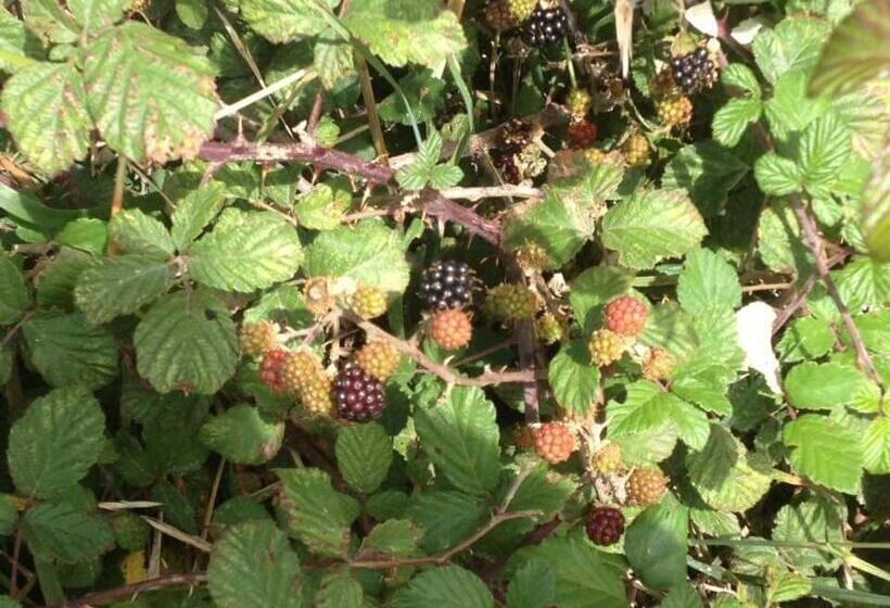 Valle Maira, Agriturismo Nel Parco Dei Nebrodi