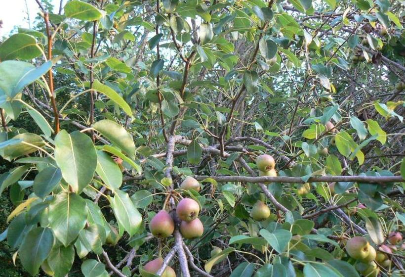 Valle Maira, Agriturismo Nel Parco Dei Nebrodi