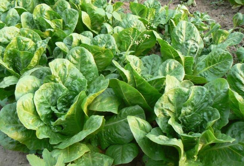 Valle Maira, Agriturismo Nel Parco Dei Nebrodi