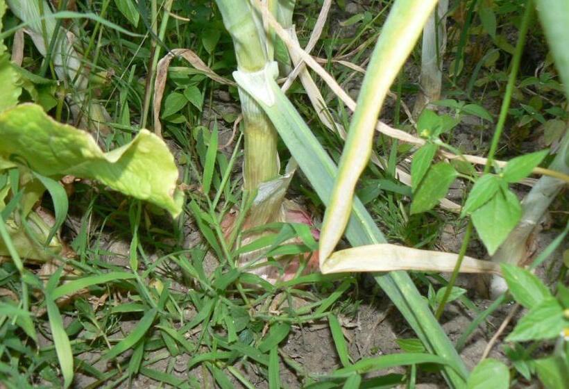 Valle Maira, Agriturismo Nel Parco Dei Nebrodi