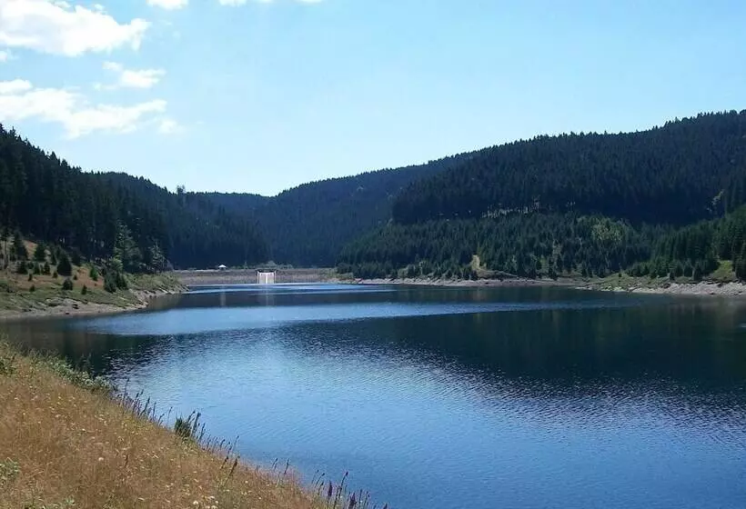 Apartment With Forest In Goldisthal Thuringia