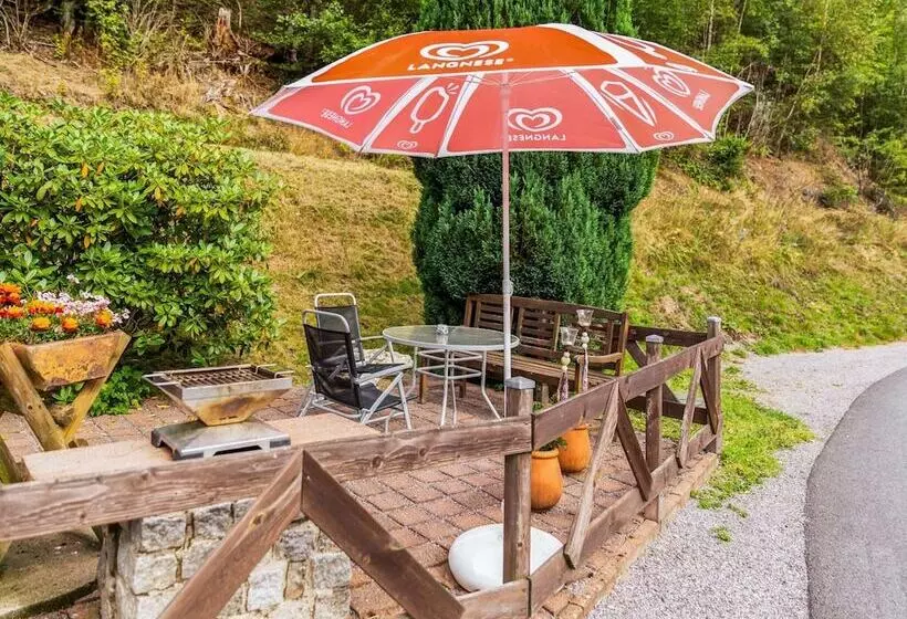 Apartment With Forest In Goldisthal Thuringia