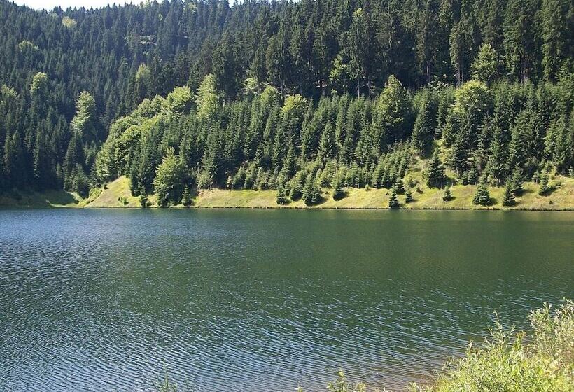 Apartment With Forest In Goldisthal Thuringia