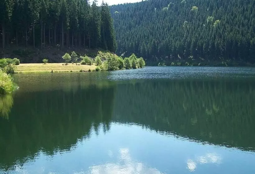 Apartment With Forest In Goldisthal Thuringia