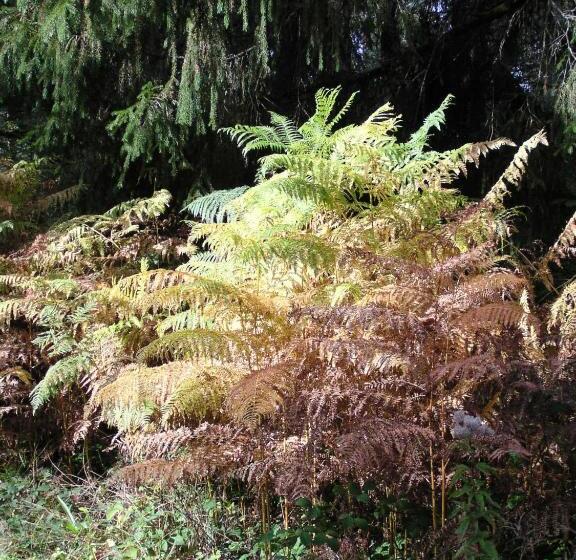 צימר Chateau De Savennes Caveau De Sabrage