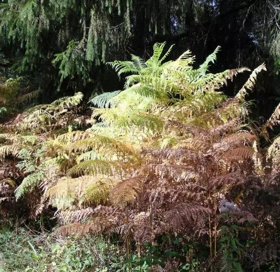 Aamiaismajoitus (B&B) Chateau De Savennes   Caveau De Sabrage