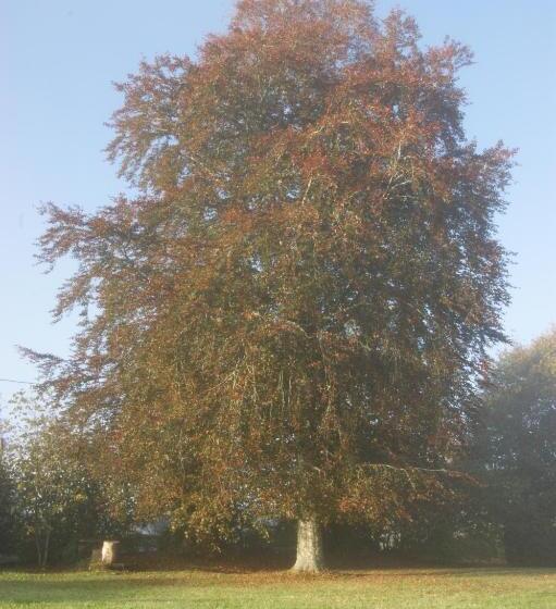 مبيت وإفطار Chateau De Savennes   Caveau De Sabrage
