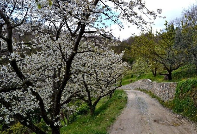 Bed and Breakfast Joie De Vivre