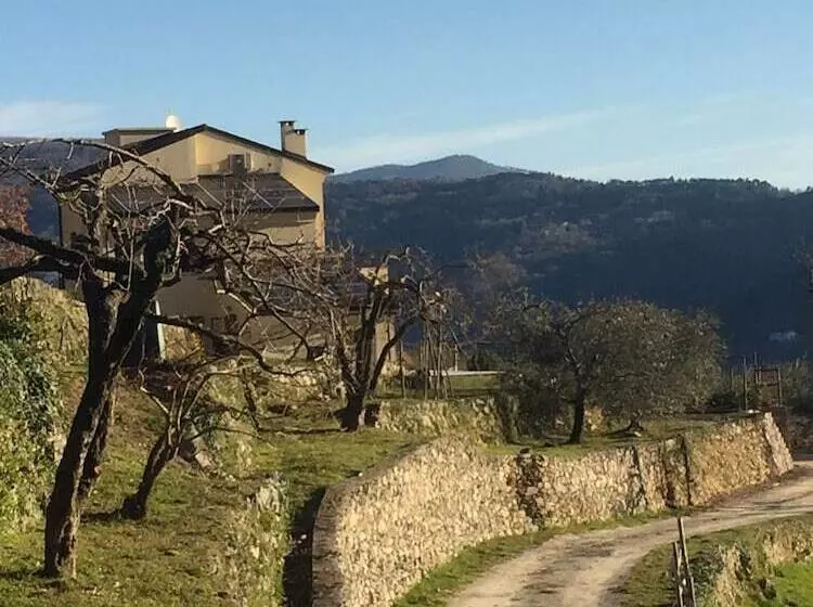 Aamiaismajoitus (B&B) Joie De Vivre