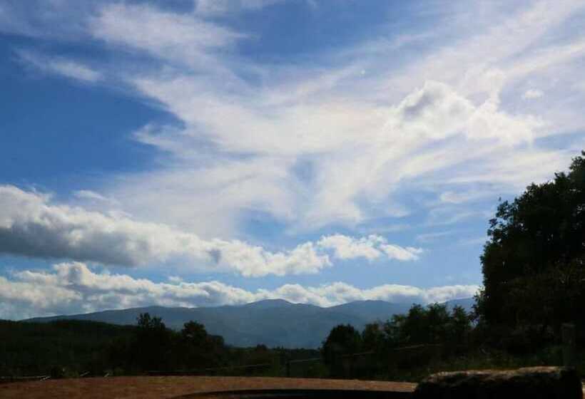 ベッドアンドブレックファースト Nabucco