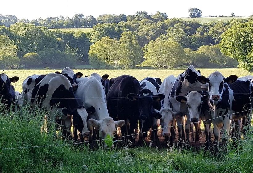 مبيت وإفطار Nuances Bretonnes