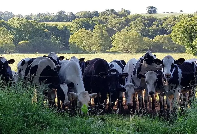 Aamiaismajoitus (B&B) Nuances Bretonnes