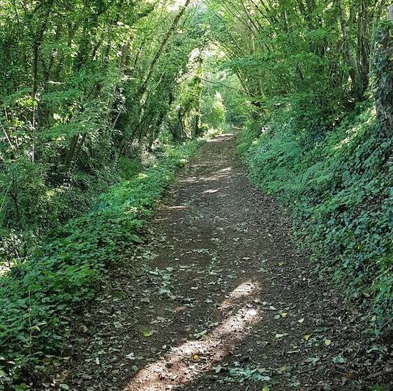 مبيت وإفطار Nuances Bretonnes