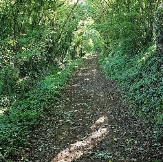 Aamiaismajoitus (B&B) Nuances Bretonnes