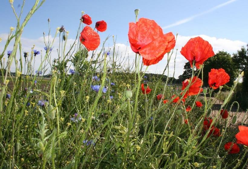 Countryside Bungalow In Pepelow With Lovely Garden