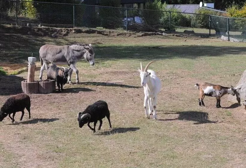 Chalet In Gerolstein With Forest