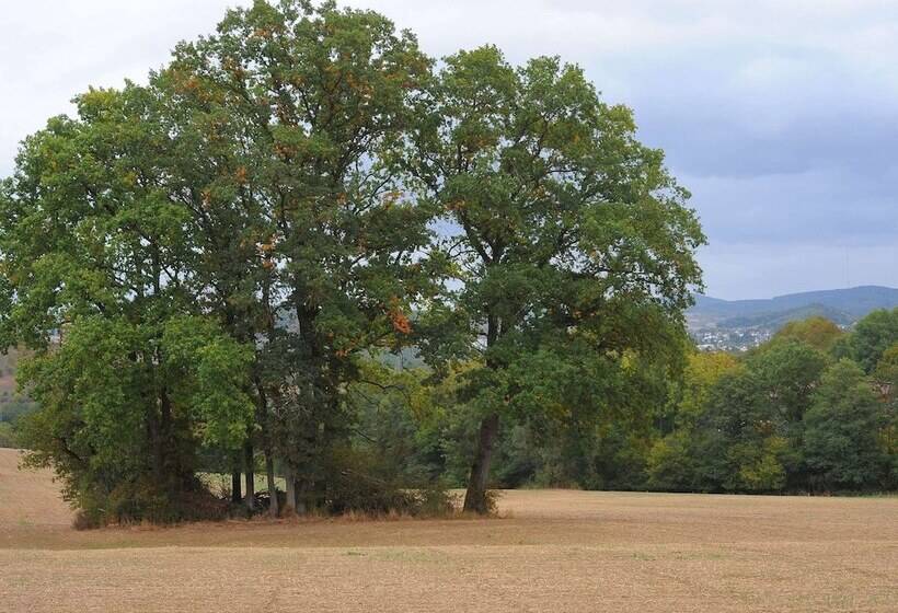 Chalet In Gerolstein With Forest