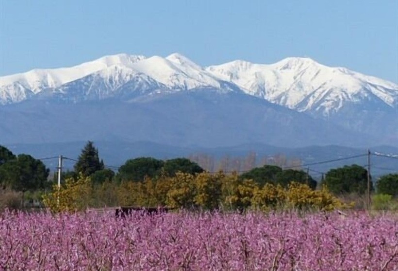 호텔 Château D'ortaffa