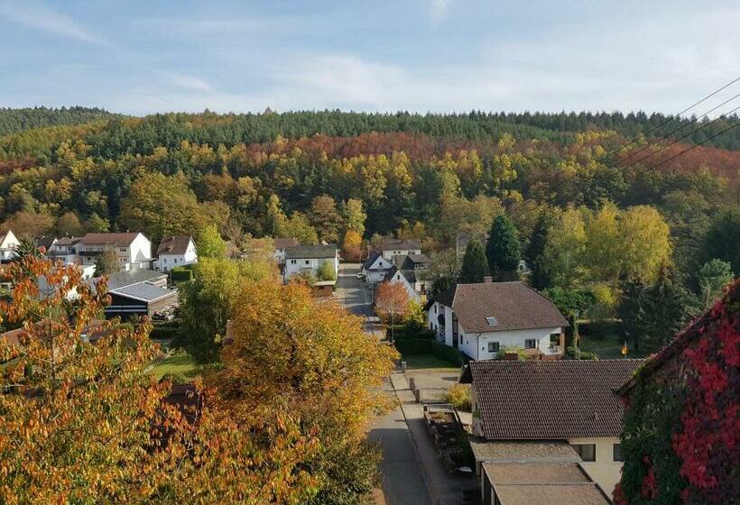 酒店 Landgasthaus Klosterhof