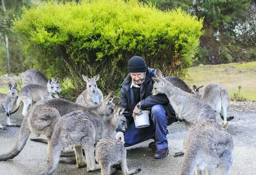ホテル Reflections Burrinjuck Waters   Holiday Park