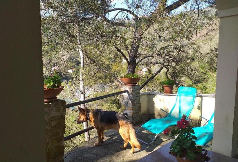 בית מלון כפרי Il Rifugio Di Artemide Agriturismo