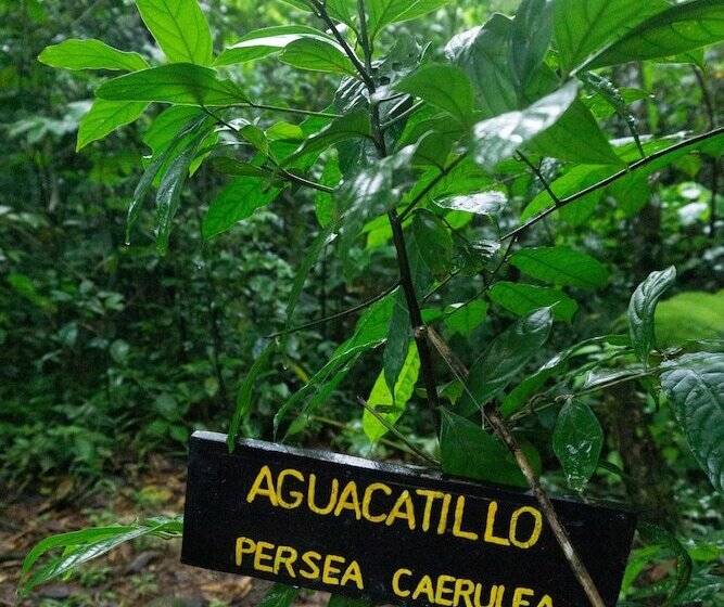 乡村酒店  Oski Lodge