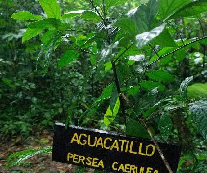 Maaseutuhotelli Oski Lodge