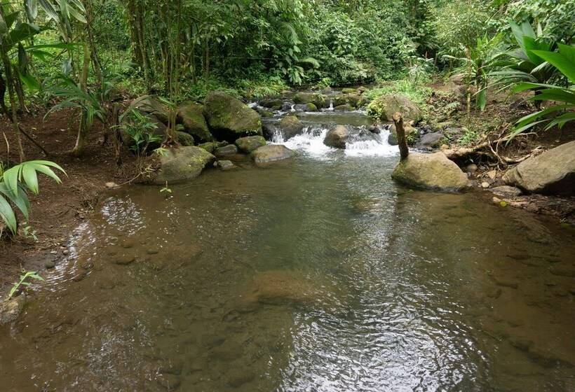 乡村酒店  Oski Lodge