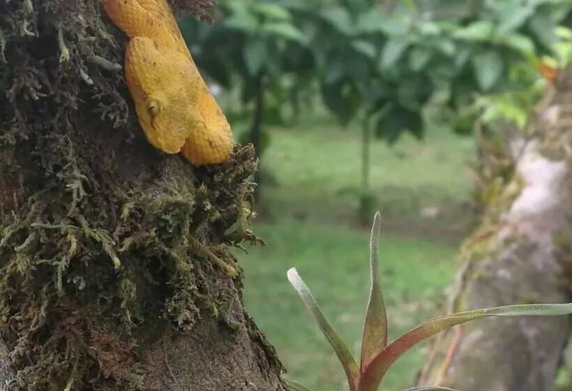 Maaseutuhotelli Oski Lodge