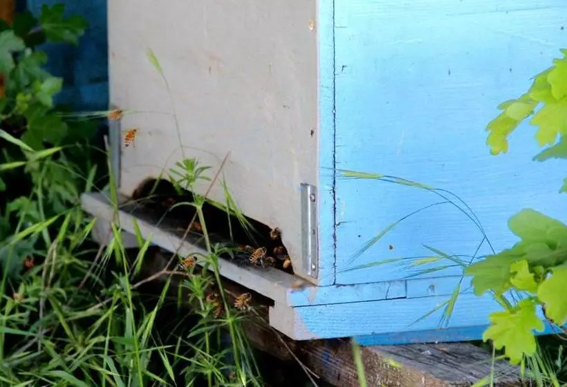 Maaseutuhotelli Palazzo Minelli