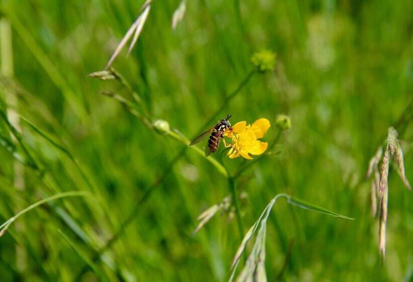 田舎風ホテル Palazzo Minelli