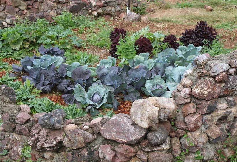 ホテル Stonehouse Farm  Glamping