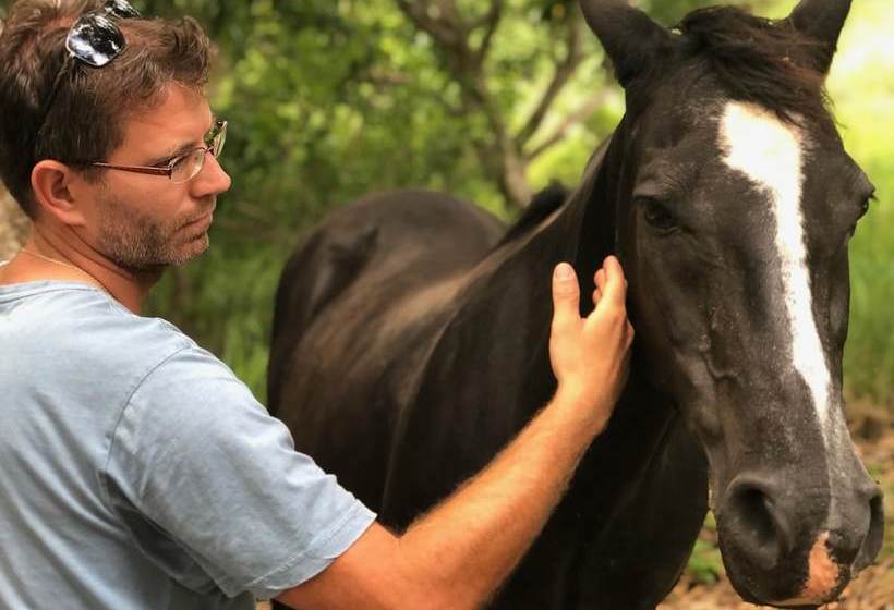 ホテル Stonehouse Farm  Glamping