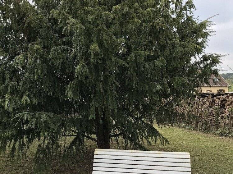 بنسيون La Framboisine