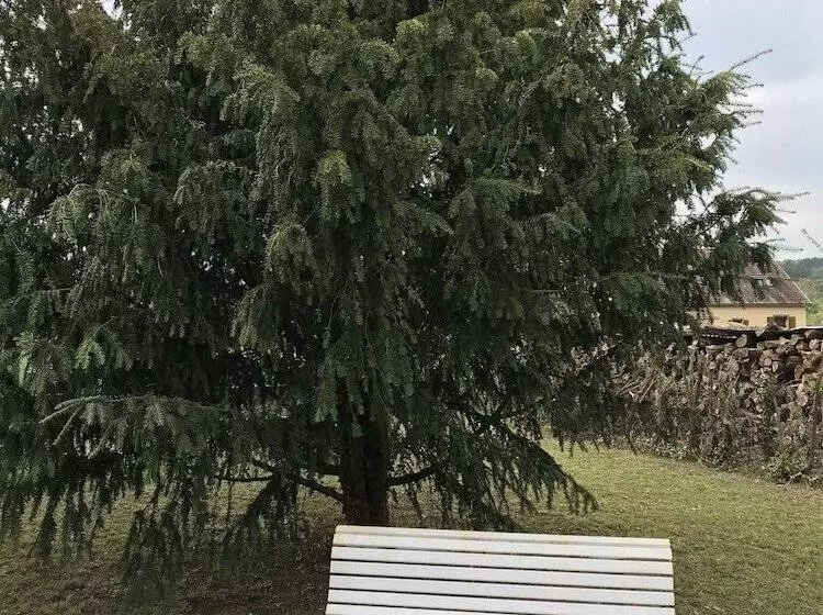 ペンション La Framboisine