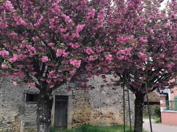 بنسيون La Framboisine