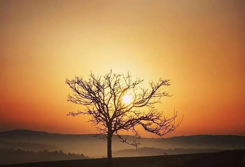 ペンション La Framboisine