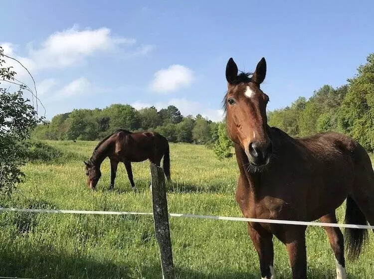 ペンション La Framboisine