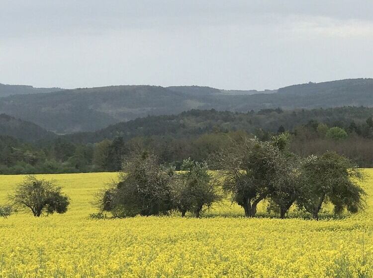 بنسيون La Framboisine