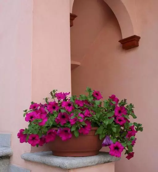 Majatalo Le Petit Coin De Maison Chante Lune